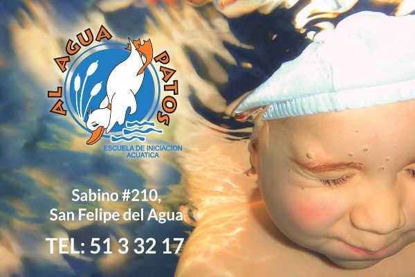 Escuela de Natación Al Agua Patos en Oaxaca