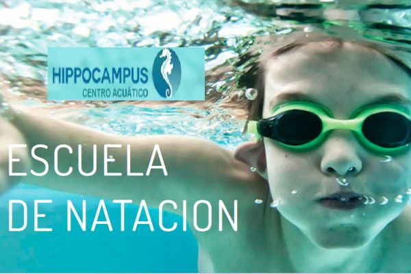 Escuela de Natacipón Hippocampus en Monterrey