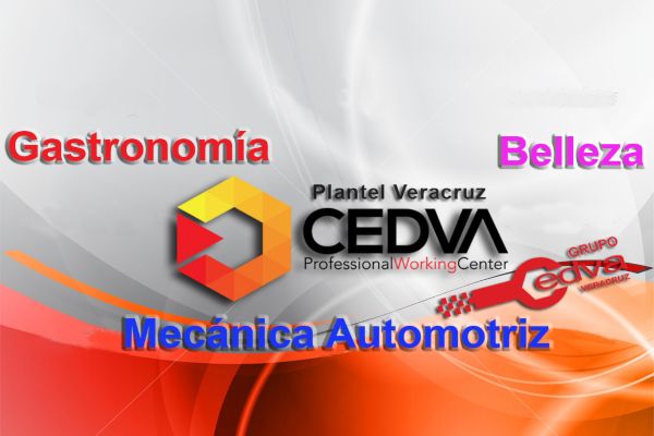 Escuela de Gastronomía Grupo CEDVA Veracruz