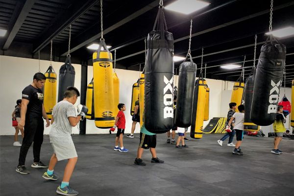 Academia de Box Pygmakhia en Cancún