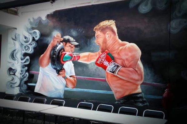 Escuela de Box Mr. Cardona en Guadalajara