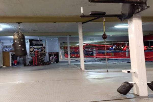 Escuela de Boxeo Box Training Junior en Guadalajara