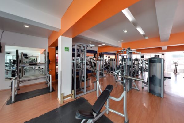 Escuela de Boxeo We Fit en Toluca