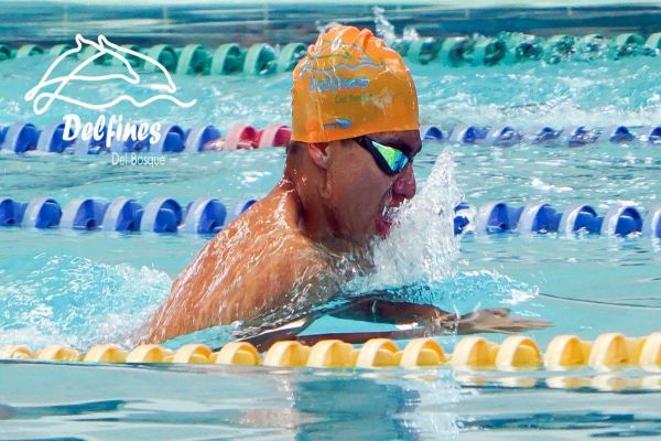 Escuela de Natación Delfines del Bosque en Irapuato