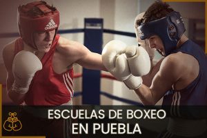 Escuelas de Boxeo en Puebla