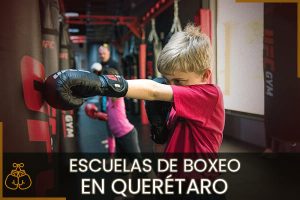 Escuelas de Boxeo en Quéretaro