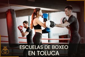 Escuelas de Boxeo en Toluca