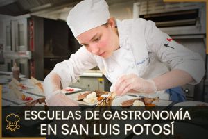 Escuelas de Gastronomía en San Luis Potosí