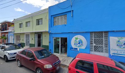 EV Auto Escuela en Mérida