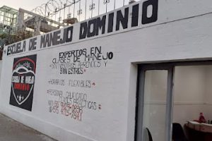 Escuela de Manejo Dominio en Venustiano Carranza