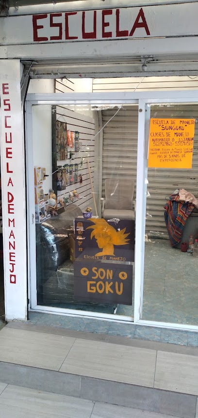Escuela de Manejo Son Goku en Iztapalapa