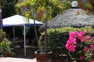 American English Club en Cuernavaca