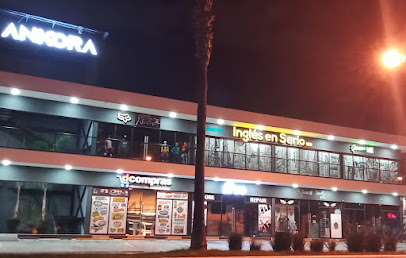 Birmingham Institute Galerias Saltillo en Saltillo