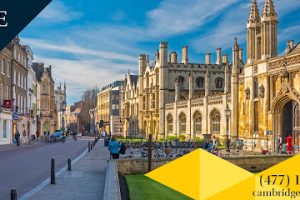 Cambridge Academy en León