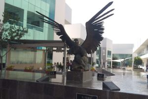 Cei Centro de Enseñanza de Idiomas en Puebla
