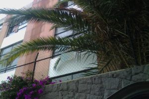 Cenei en San Luis Potosí