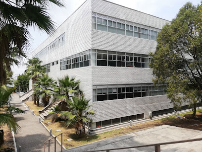 Centro de Lenguas en Cuernavaca