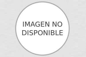 Clases de Inglés Mati en San Luis Potosí