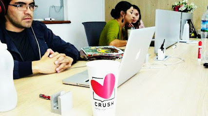 Crush Language School: Clases de Inglés y Francés en Querétaro