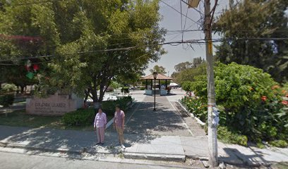 Escuela de Inglés Básico Kenia en Irapuato