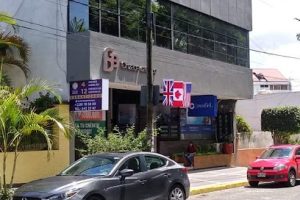 Golden English Xalapa en Xalapa