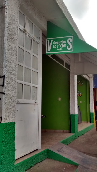 Guardias Verdes Ace en Morelia