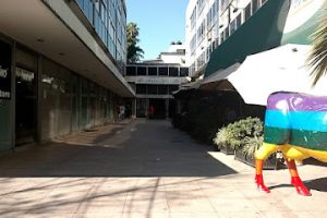 Inglés Para Todos en Guadalajara