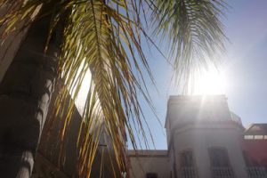 Instituto Cultural Mexicano Norteamericano de Jalisco en Guadalajara