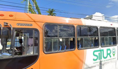 Instituto de Lenguas Extranjeras - Ilex en Mérida