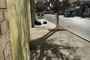 Intensive English Language And Translation Center en Juárez