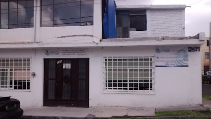 Landing Futures en Morelia