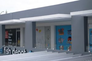 Learn, Idiomas + Consultoría en Culiacán Rosales