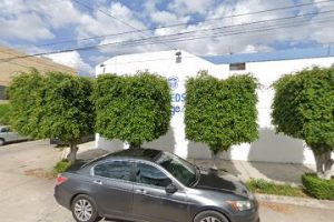 Leeds United Language School en San Luis Potosí