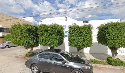 Leeds United Language School en San Luis Potosí