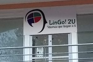 Lingo! 2U en Puebla