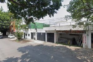 Lingua Pets en Cuernavaca