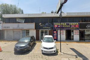 Lingua Training en Puebla
