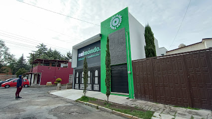 Nel Mondo, Idiomas y Traducción en Puebla