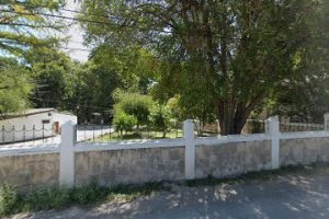 Red Maple en Saltillo