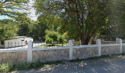 Red Maple en Saltillo