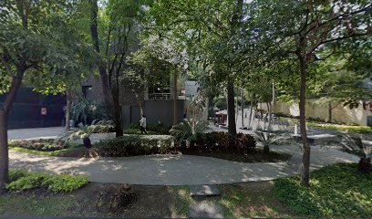 Spelt - Clases de Inglés Guadalajara en Guadalajara