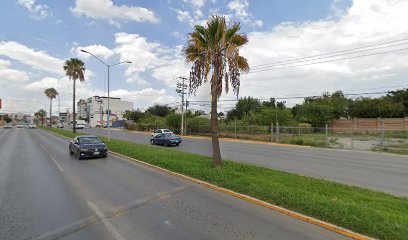 Spelt - Inglés en Saltillo en Saltillo