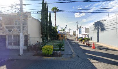 Tutorías y Clases de Inglés en Zapopan