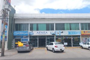 Vanguardia Académica San Jerónimo en León