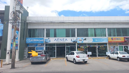 Vanguardia Académica San Jerónimo en León