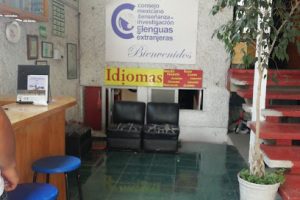 Cursos de Idiomas en Coyoacán
