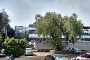Escuela Nacional de Lenguas, Lingüística y Traducción Unam en Coyoacán