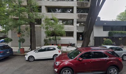 Instituto Superior de Idiomas en Coyoacán