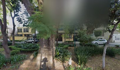 Lexiboss Academy en Benito Juárez