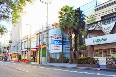 Quick Learning Polanco en Miguel Hidalgo